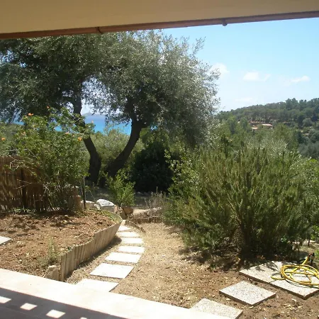 Dino&fanny * 维拉西米乌斯